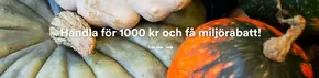 Fram-katalog i Brohusen |  Handla för 1000 kr och få miljörabatt! | 2024-12-20T00:00:00.000Z - 2025-03-31T00:00:00.000Z