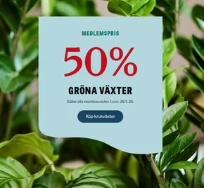 Blomsterlandet-katalog i Saltsjöbaden | 50% gröna växter! | 2025-01-13T00:00:00.000Z - 2025-03-24T00:00:00.000Z