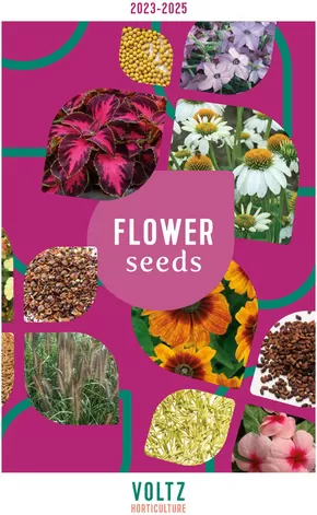 Hörnhems handelsträdgård-katalog i Åhus | Flower seeds! | 2025-02-03T00:00:00.000Z - 2025-12-31T00:00:00.000Z